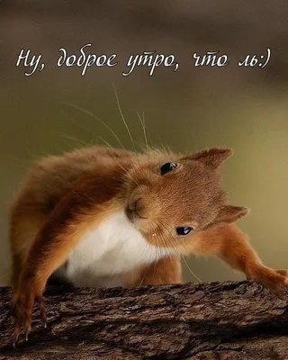 Всем доброе утро