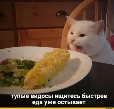 Как выглядят максимально тупые люди?…» — создано в Шедевруме