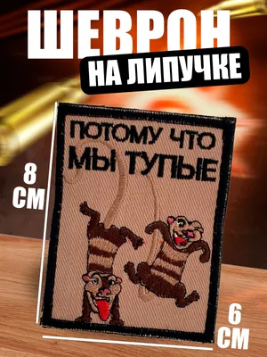 тупые видосы ищитесь быстрее еда уже остывает / котэ картинки :: интернет /  смешные картинки и другие приколы: комиксы, гиф анимация, видео, лучший  интеллектуальный юмор.
