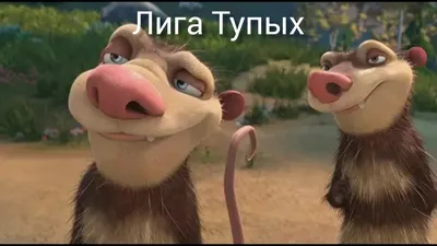 Все вокруг такие тупые. Все, кроме меня! — DRIVE2