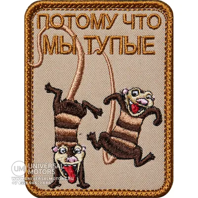 Глухие, слепые и тупые обезьяны на белой предпосылке Стоковое Изображение -  изображение насчитывающей апертур, диаграмма: 27712185