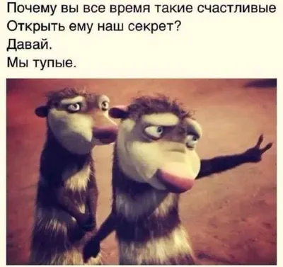 тупые открытки на все случаи жизни | ВКонтакте