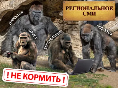 Тупые и умные компоненты / Хабр