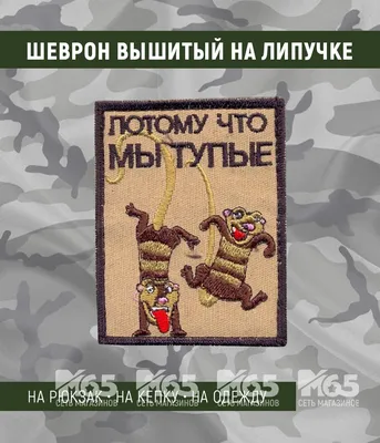 Почему американцы тупые - РИА Новости, 05.05.2009
