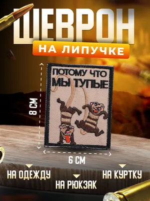 В Прикамье кричавшая на «тупых» первоклашек учительница отстранена от  занятий » Интернет-газета Primeru.net
