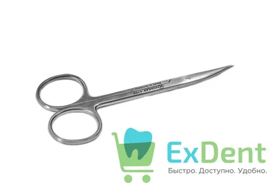 Девушка не может разговаривать при тупые люди, мочить и проигрышный закал,  выкрикивая Fed вверх по смешной европейской девушке с Стоковое Изображение  - изображение насчитывающей красивейшее, выражение: 128794231