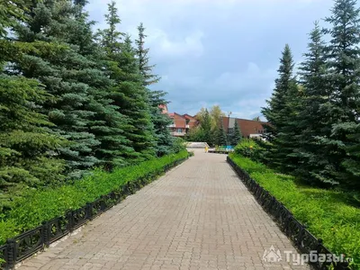 Стрежень, база отдыха