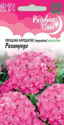 Семена Цветы, Гвоздика, Турецкая махровая смесь, 0.4 г, цветная упаковка,  Тимирязевский питомник в Москве: цены, фото, отзывы - купить в  интернет-магазине Порядок.ру