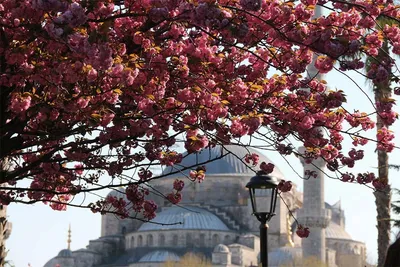 Турция весной фото