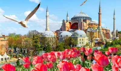 🍊 Апрель в Турции – это настоящая весна. Цветут экзотические растения,  цитрусовые деревья, 🍒вишня и персики 🍑 Ароматы.. | ВКонтакте