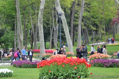 Турчанам несказанно повезло: весна в Турции — где красивее всего | 🌊  Курорты Турции - ResortTurkey | Дзен