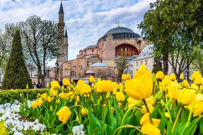 Наша прекрасная планета, [27 апр. 2022 в 13:03] 📍 Стамбул, Турция 🇹🇷  Весенний Стамбул – это лучшее место для пешего променада. Те… | Beautiful,  Istanbul, Planets