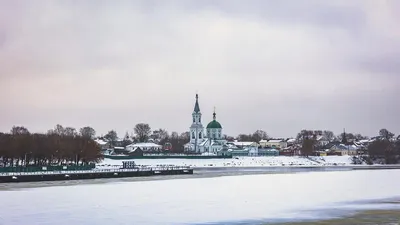 Стоит ли ехать в Тверь зимой, когда холодно, мокро и дует в лицо? | Лис с  лисятками в движении | Дзен