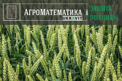 Таблица 28 | это... Что такое Таблица 28?