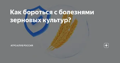 1916 год. Головня пшеницы и ячменя и пр. - купить ботаническую литографию