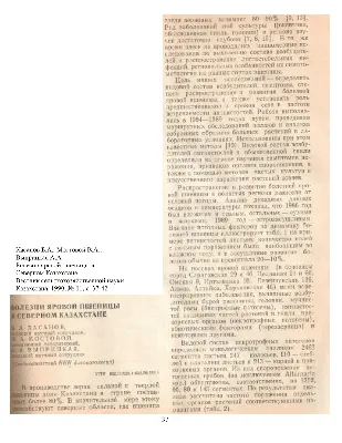 81 ТУ по Луганской Народной Республике | ГОЛОВНЯ ПШЕНИЦЫ ПОД МИКРОСКОПОМ
