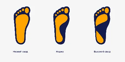 Стопа - особая рефлексогенная зона нашего организма