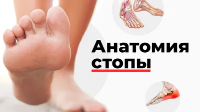 А вам известно, что такое супинация и пронация?