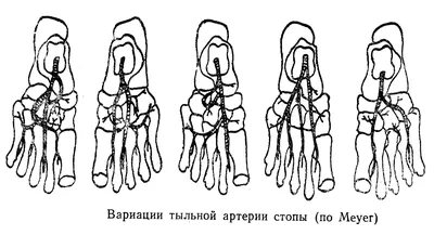 Здоровые стопы