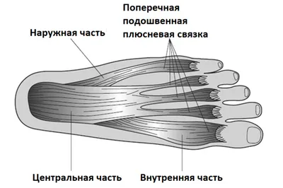 Боль в стопе и пятке лечение в клинике Линько