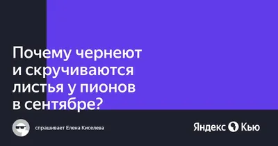 Посадка гладиолусов и пионов. Астильба посадка и уход в открытом грунте - 3  июня 2023 - chita.ru