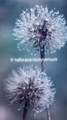 Кружка \"У тебя все получится, и все офигеют\", 330 мл - купить по доступным  ценам в интернет-магазине OZON (1103058940)