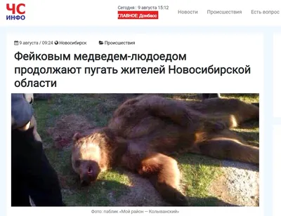Фото с убитым медведем людоедом в формате jpg