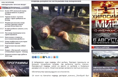 Убитый медведь людоед - изображение для фона