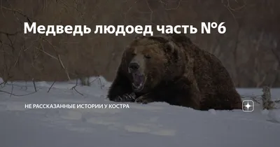 Фото, скачать бесплатно: Убитый медведь людоед в высоком разрешении в формате webp