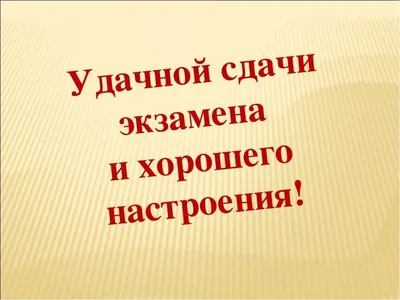 Группа №7! Девчонки и мальчишки 😀Сегодня у вас первый экзамен в ГИБДД.  Сохраняйте спокойствие! Пусть не тревожат нервы.. | ВКонтакте