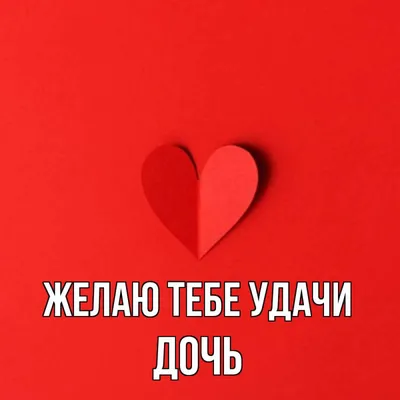 🖤 #экзамен #огэ #2023 #удачи♥️ | TikTok