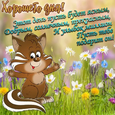 Картинки \"Доброго дня!\" для мужчине (166 шт.)
