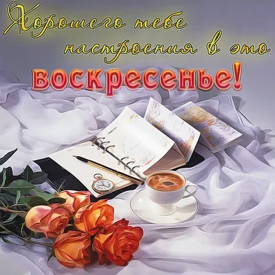Картинки \"Доброго, хорошего дня!\" для мужчины (200 шт.)