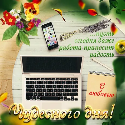 ОТНОШЕНИЯ МЕЖДУ МУЖЧИНОЙ И ЖЕНЩИНОЙ | Заметки Натальи Чиженковой | Дзен