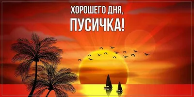 Картинки \"С Добрым Утром и Хорошего Дня!\" (461 шт.)