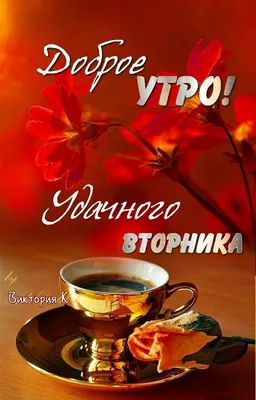 Картинки \"Доброе утро. Вторник\" (779 шт.)