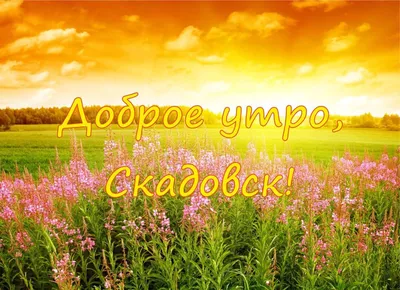 Доброе утро!!! Удачной недели! - Вместо 1000 слов | Facebook