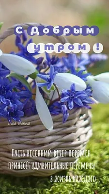 Доброе утро красивые открытки картинки утренние сообщения пожелания  инстаграм сторис | Открытки, Доброе утро, Утренние сообщения