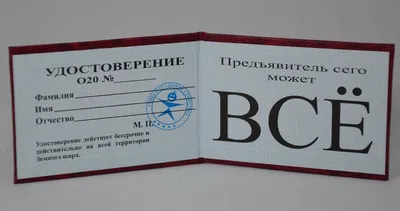 Обложка на удостоверение «МВД РФ» / Pull-app / Бордовый - Заготовки для  сувениров