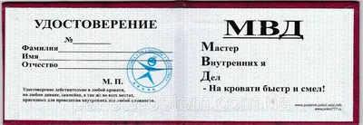Обложка для удостоверения МВД с жетоном чёрная - купить в Москве по  доступной цене в магазине Лубянка.