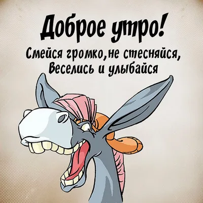 Доброе утро! ~ Открытка (плейкаст)