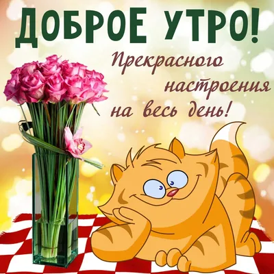 Прикольные картинки \"С Добрым Утром!\" (682 шт.)
