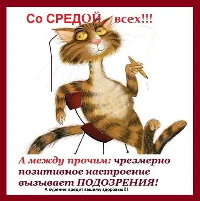 Доброе Утро Картинки Открытки Веселые – Telegraph
