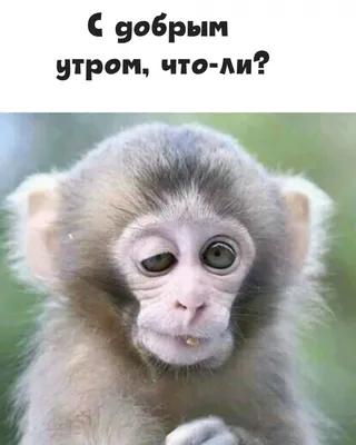 С добрым утром!#видеооткрытка #открыткасдобрымутром#открытка #рекоменд... |  TikTok