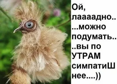 Открытки \"Доброго утра!\" зимой (500+)