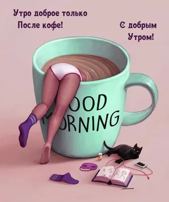 Картинки \"доброе утро среда\" (36 ФОТО) ⭐ Наслаждайтесь юмором! | Доброе утро,  Смешные котята, Смешной юмор