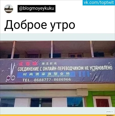 Смешные Картинки С Добрым – Telegraph