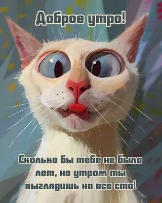 доброе утро фото смешные картинки｜Поиск в TikTok