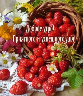 Прикольные картинки: \"Доброе Утро!\" (526 шт.)