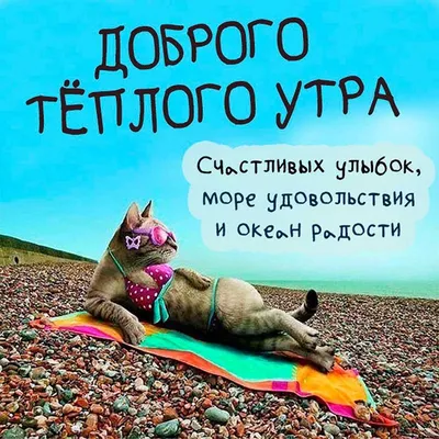 Прикольные картинки \"с добрым утром!\" (518 шт.)